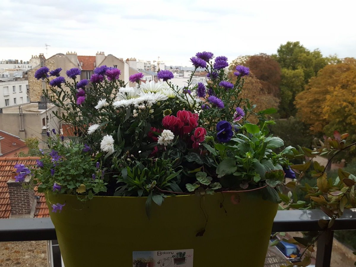 Jardinière fleurie pour les mois tout&nbsp;gris