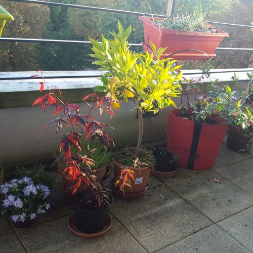 cropped-mon-balcon1.jpg