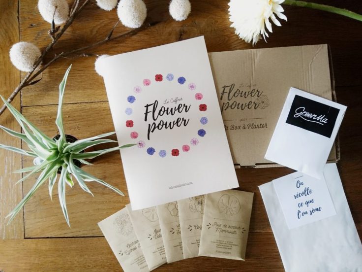 la-box-a-planter-flower power