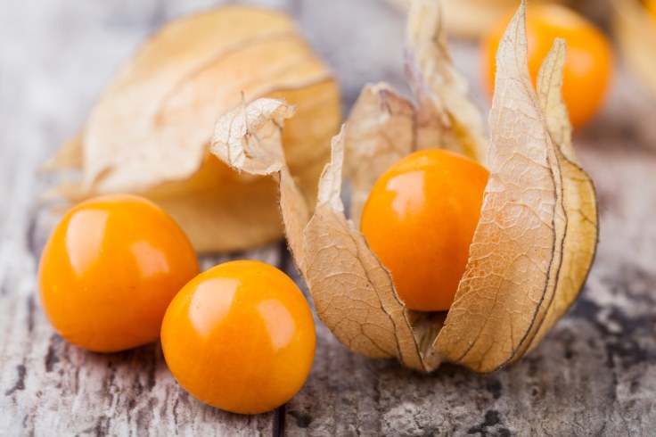 Physalis-fruits-secs-100g.16694.1.jpg