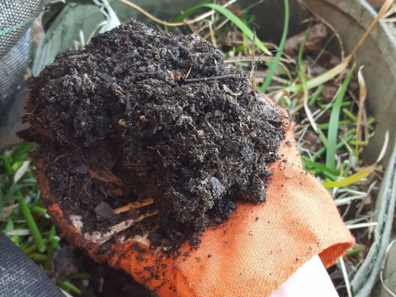Comment utiliser son&nbsp;compost