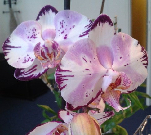 2016-06-23 10.53.43.jpg