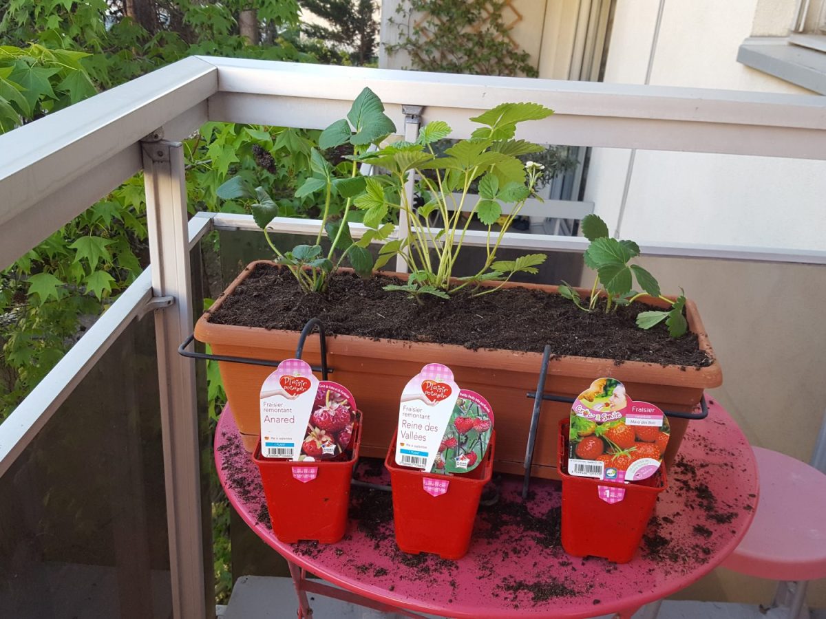 Aménager son balcon orienté&nbsp;sud