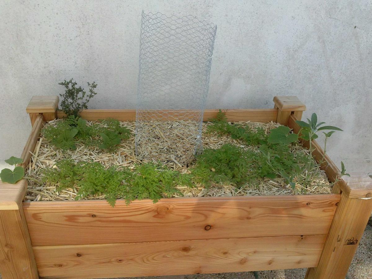 Aménager son potager&nbsp;surélevé