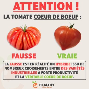 La-Tomate-Coeur-de-Boeuf.jpg