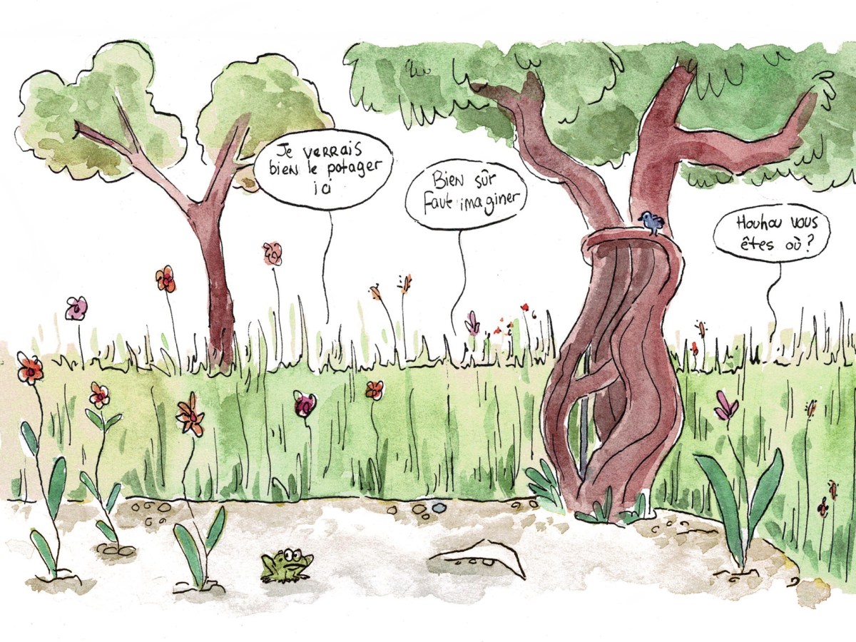 La saga du jardin angoumoisin, saison 1 : épisode 1 – La&nbsp;découverte