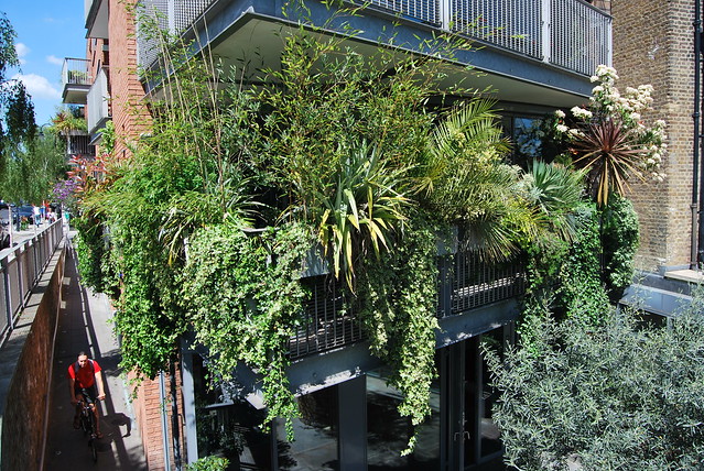 jungle balcon
