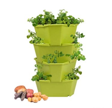 tour à pomme de terre ferme sainte Marthe