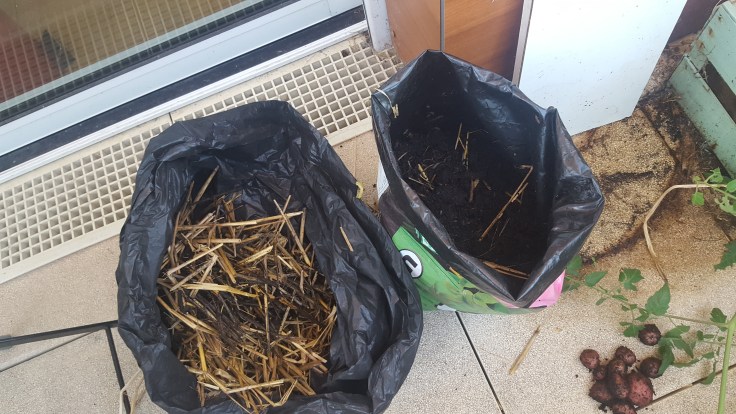 Toujours rien une fois la paille retirée