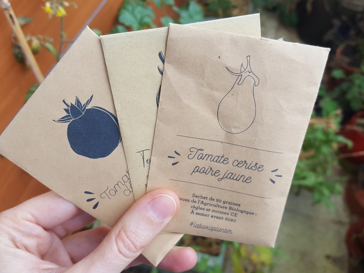 Comment récolter ses graines de&nbsp;tomates