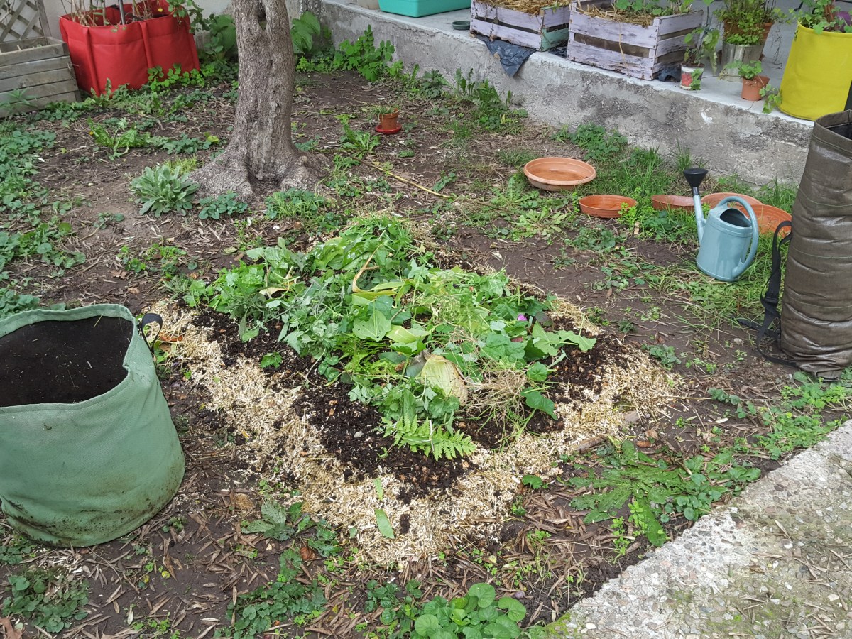 Comment créer une lasagne au&nbsp;potager