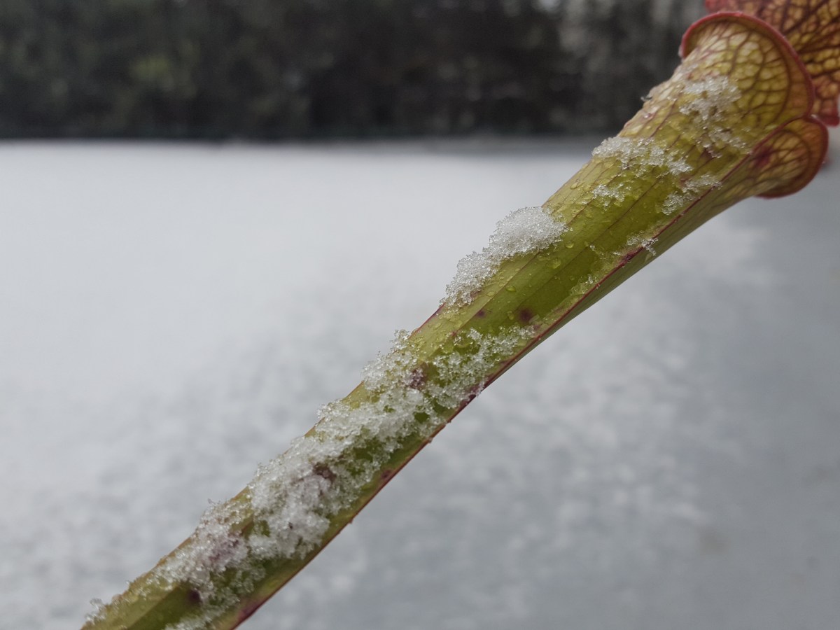 Activités de janvier