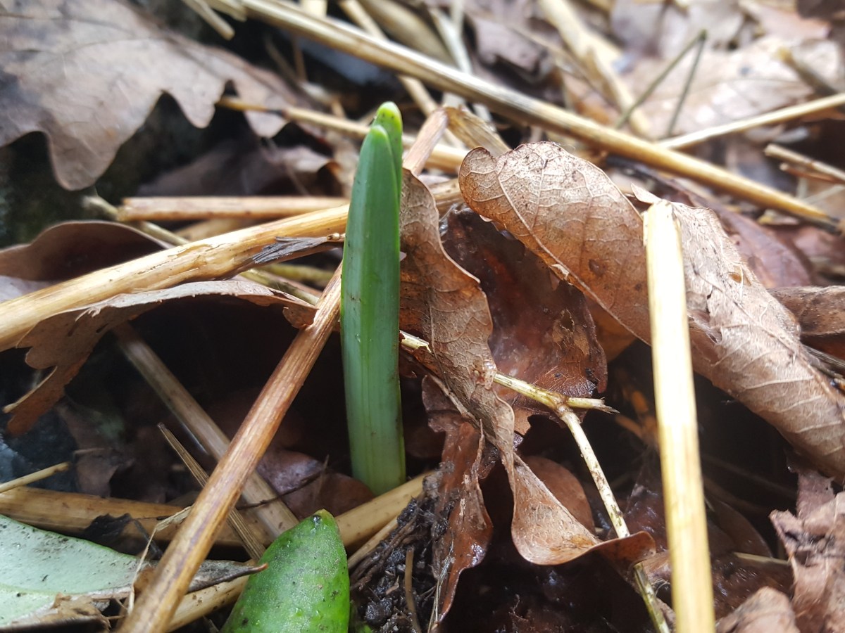 Les objectifs du mois de février&nbsp;2022