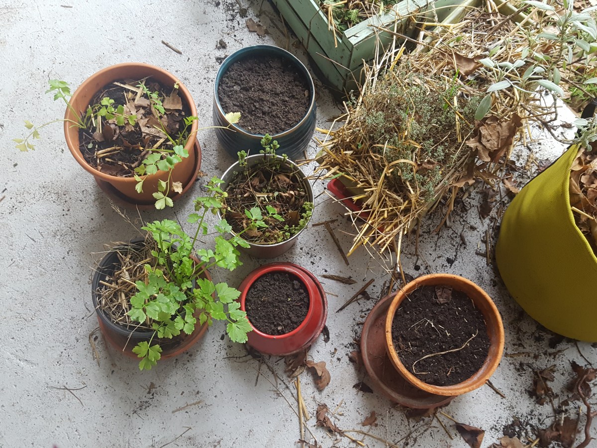 Activités de février