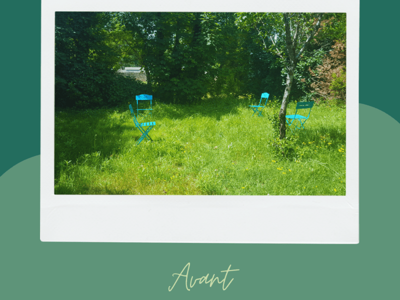 Avant/Après créer son premier&nbsp;potager