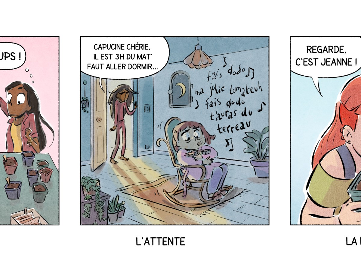 Les gestes du mois de mars 2024 : semer ses&nbsp;tomates