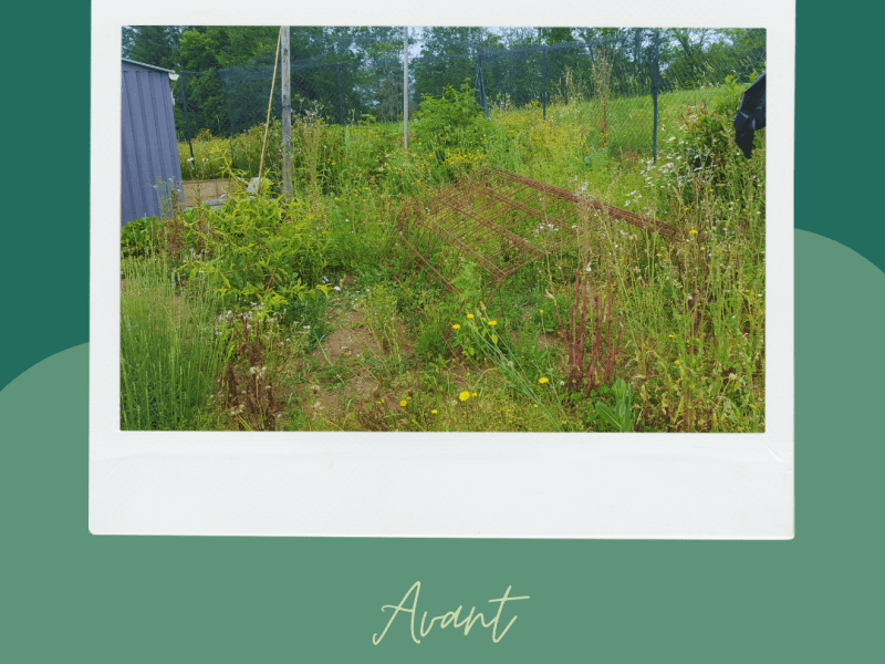 Avant/Après démarrer un potager élégant&nbsp;!