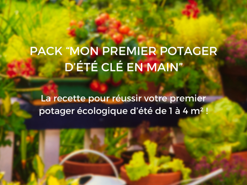 Mon premier potager d’été écologique clé en main, le pack&nbsp;!