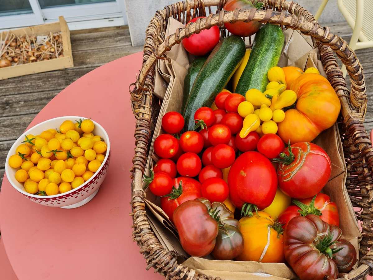 Que faire en septembre au potager : c&rsquo;est la&nbsp;rentrée