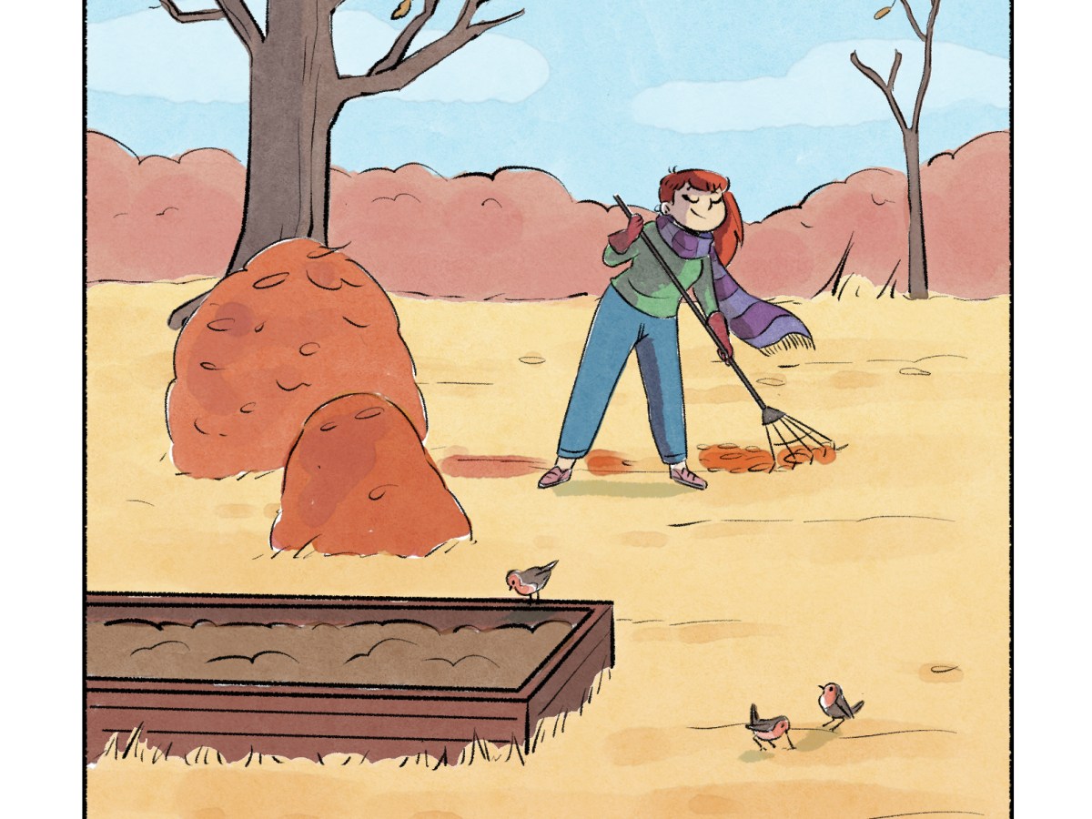 Le geste du mois d’octobre 2024 : le paillage&nbsp;!