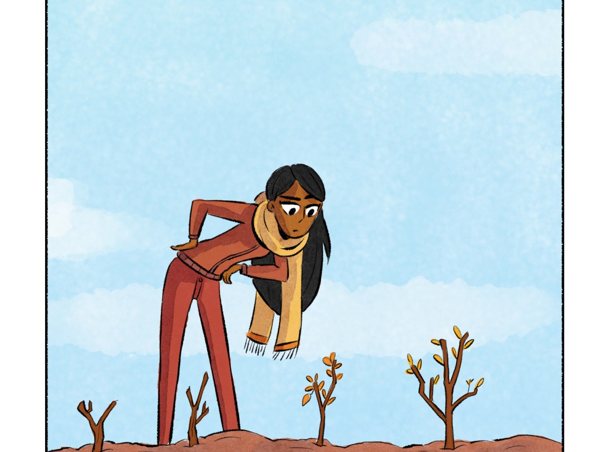 Le geste du mois de novembre 2024 : bouturer&nbsp;!