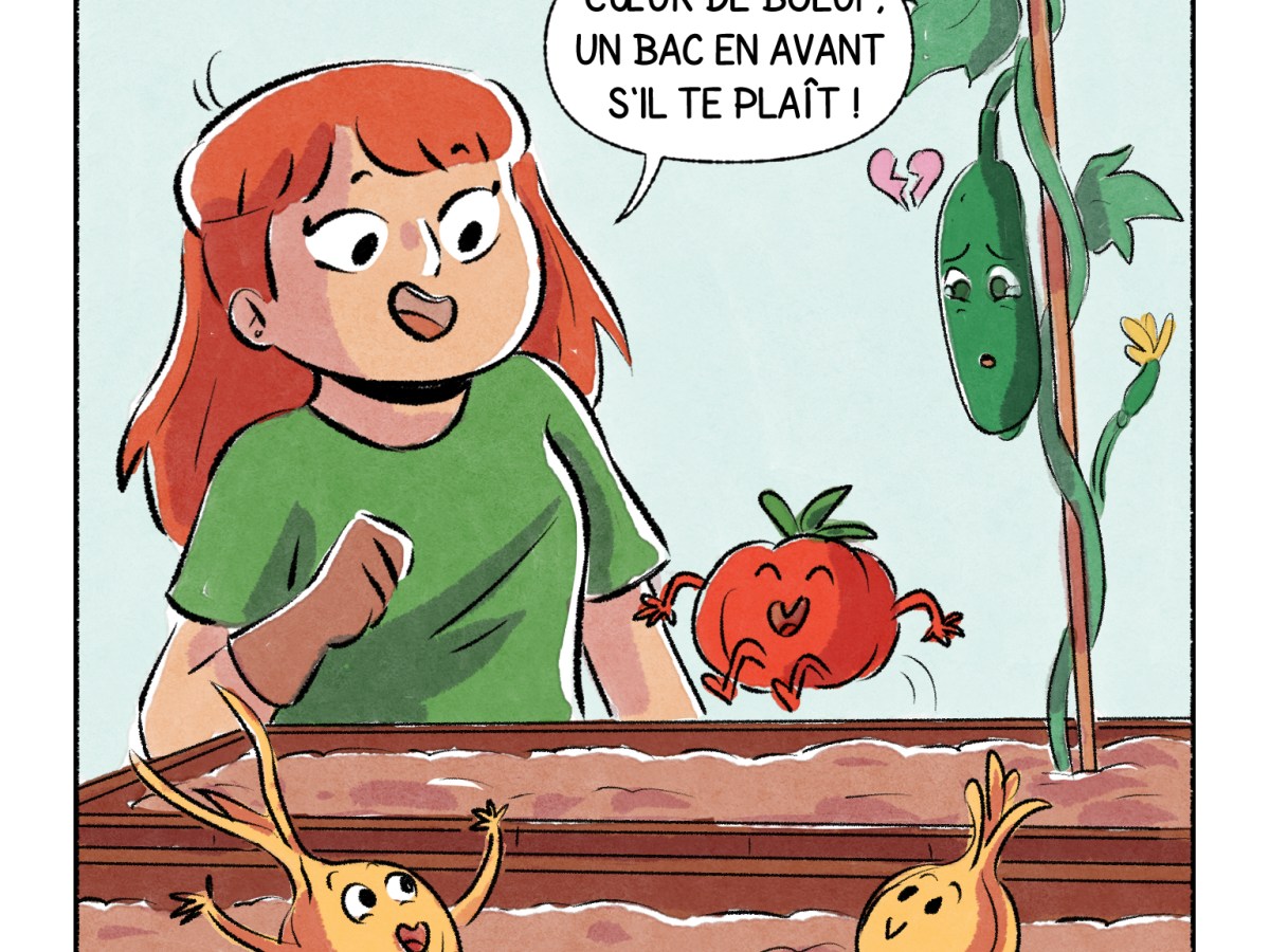 Visualiser son futur&nbsp;potager