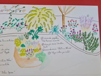 Dessine-moi un jardin : dans les coulisses de mon coaching&nbsp;ornement